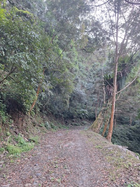 泰安麻必浩林道南坑山O型202502282724653