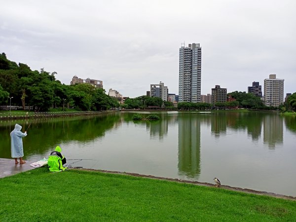 《細雨霏霏的碧湖公園環湖步道》1433549