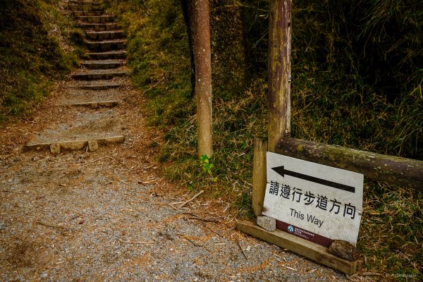 [冬訪大霸聖山岳參行]-大鹿林道東線榆金楓紅與九九山莊精選輯2974685