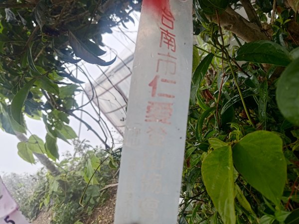 梅山鄉撿山頭2449439