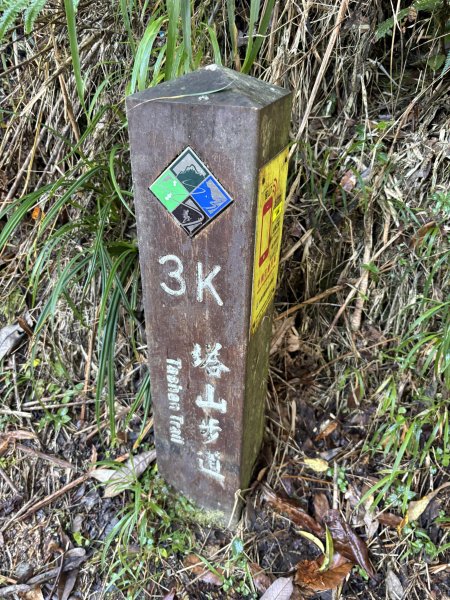 20251225塔山步道(大塔山)2970367