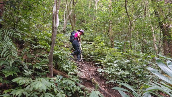 組合山連走滿月圓山O走1044572