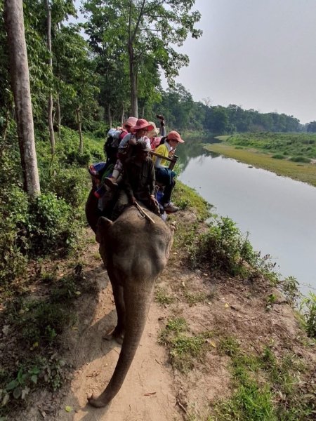 尼泊爾奇旺國家公園4天三夜2790888