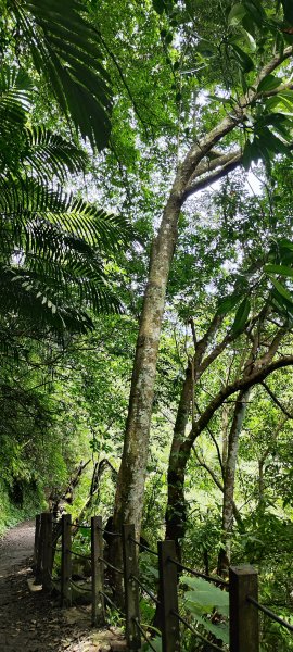 新竹內灣．馬胎古道202506212823499