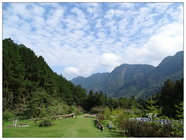 溪頭/山芙蓉之旅712598