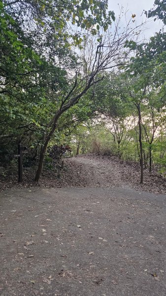 【即使簡單也要心存敬畏！】小百岳#074-大崗山、盤龍峽谷一線天O繞。3025841