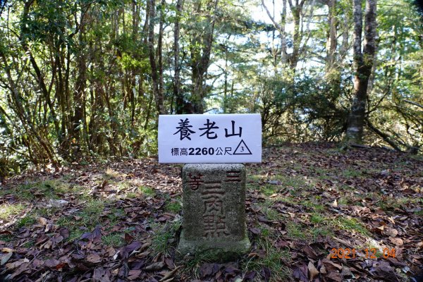 新竹 尖石 養老山、基那吉山1538925