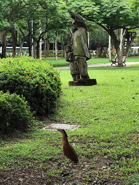 大安森林公園、臺北市政府、市府轉運站、宏匯瑞光廣場、大港墘公園《挑戰！台北捷運集章全制霸》2580185