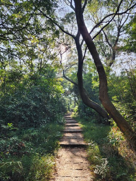新竹湖口｜萬年道、仁和步道、金獅古道、漢卿步道2912210