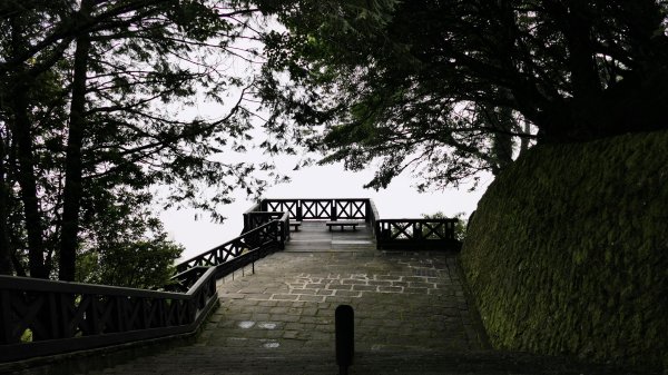 阿里山森遊區-祝山,對高岳步道2536992