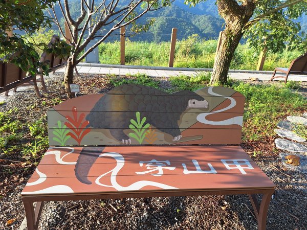 冬山梅花湖中山步道+大陂丘山202509292901672