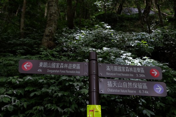 桃園復興區  東卡O縱2823841