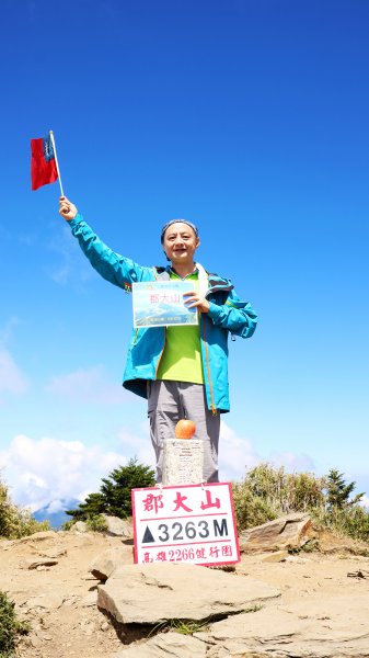 眺望玉山群峰最佳角度~郡大山701953