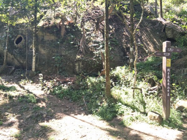 小百岳:台南大凍山 台南百大步道1384171