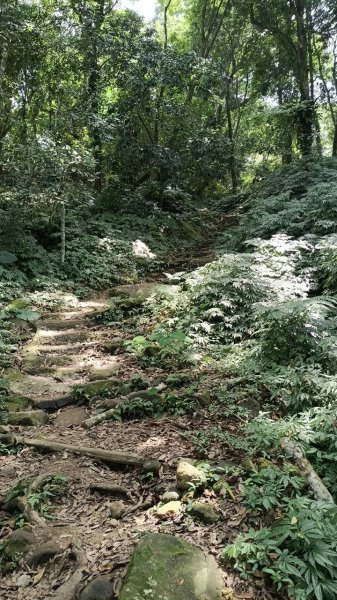 20251004 馬那邦山 - 珠湖 登山口2904819