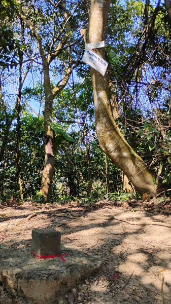 年前練練腳台北西湖近郊13連峰O型2999230