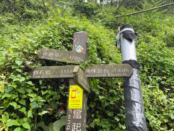 1150926霹靂山-大凍山O繞3129920