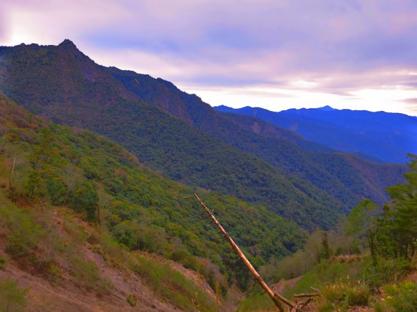 阿里山尋石山，五彩繽紛的石山引水道792472