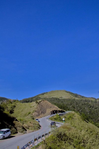 🌈6/8（日）合歡北峰賞紅毛杜鵑✨FB：熊熊趴爬走🌈2806089
