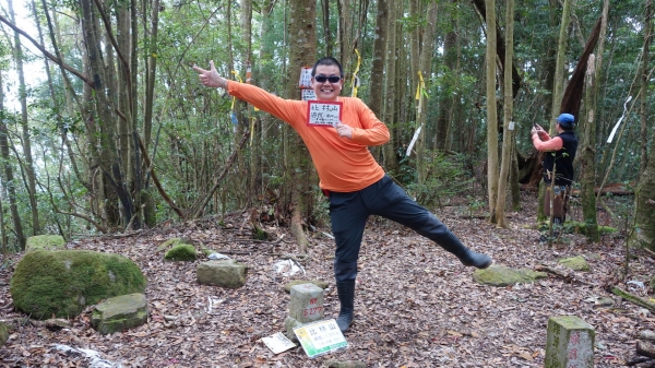 【新竹/五峰】戀戀柳杉林，比大鳥連稜縱走26376