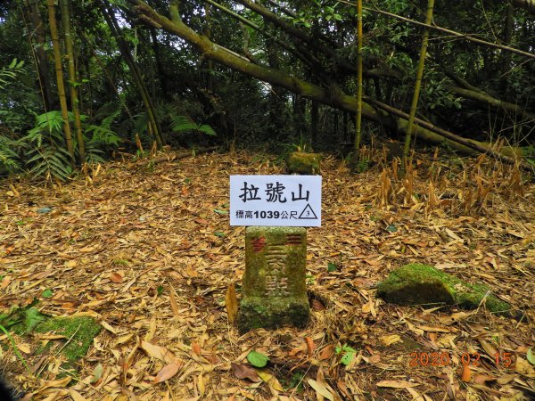 桃園 復興 拉號山(良羽鳥山)