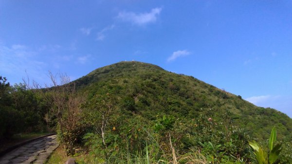 基隆山登山步道591983