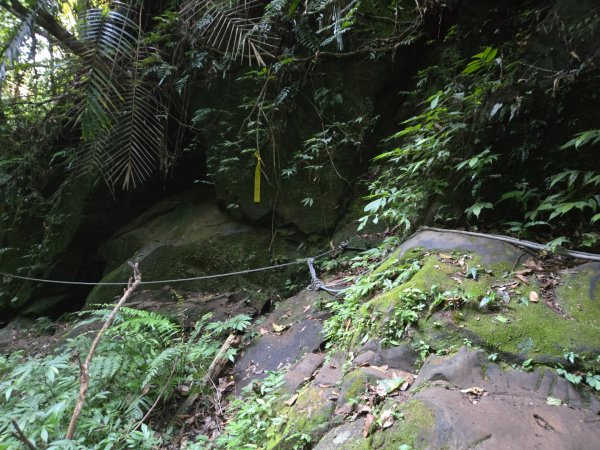 石牛山（小百岳）2909978