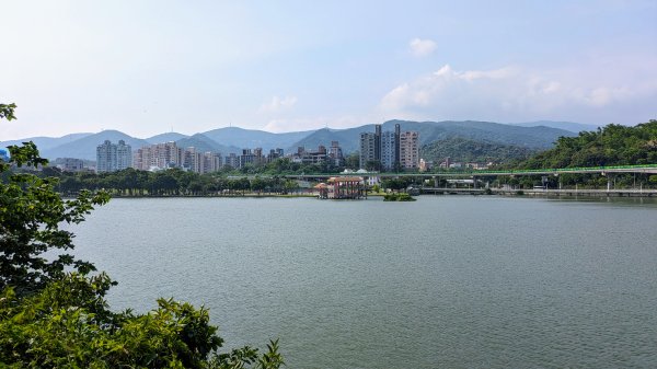 內湖,大湖,康寧,東湖2498598