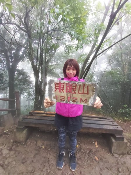 桃園_東眼山自助遊1124749