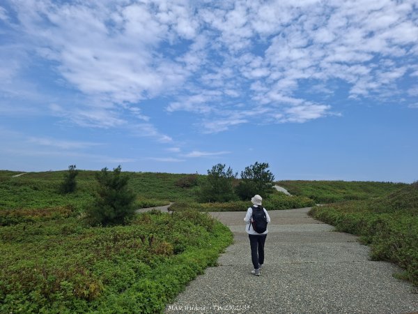 《桃園》驕陽似火｜永安北岸濱海步道202607253090759