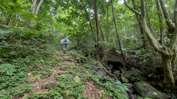 114.06.01溪山百年古圳-太平尾山+聖人崙之旅2801871