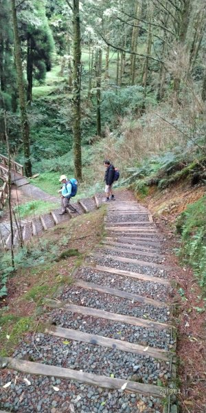 阿里山山脈~~塔山976783