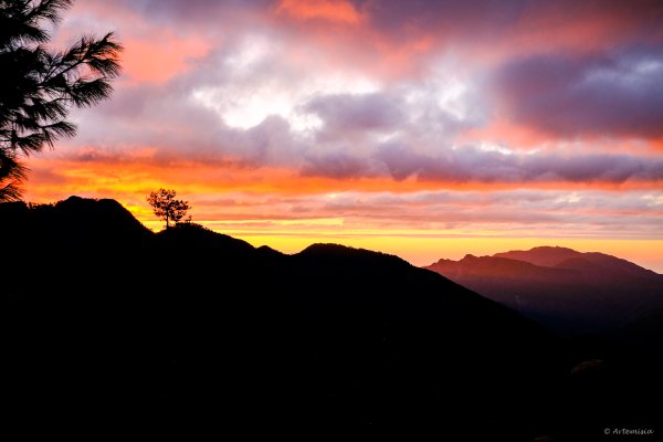 [冬訪大霸聖山岳參行]-大鹿林道東線榆金楓紅與九九山莊精選輯2974688