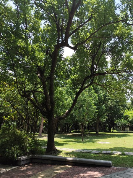 大港墘公園、大安森林公園、大稻埕、天母【走路趣尋寶】【臺北健走趣】2554263