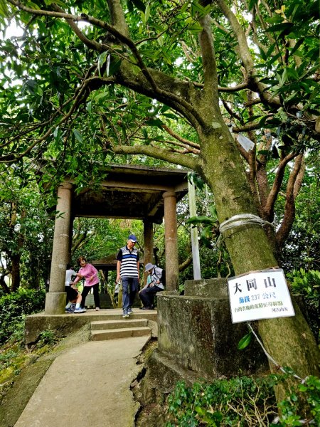 (大棟山系)405高地-2025微笑山線大縱走尋寶集章任務2844184