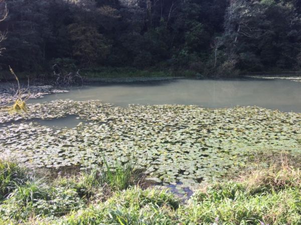 福山植物園半日遊235013