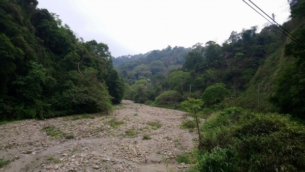 霧峰奧山封面