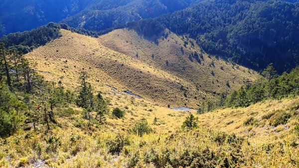 雪山西峰/博可爾山/翠池三叉山與五翠池悠閒走探的山遊記(三日)2838500