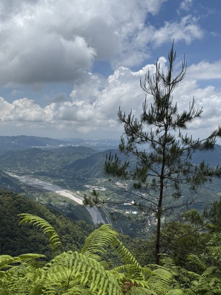 白毛山O繞+臭頭山 202505172791760