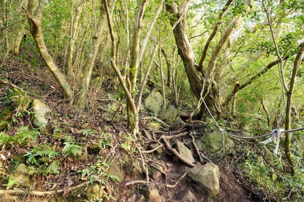 新北 八里 觀音山、牛港稜山2681326