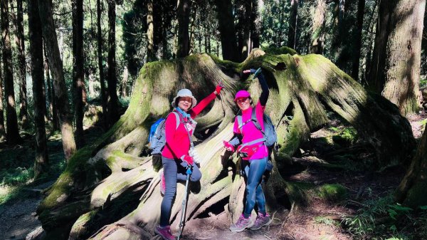 🌈10/11（日）消失的阿里山森林鐵路FB：熊熊趴爬走(富裕登山社)🌈3134731