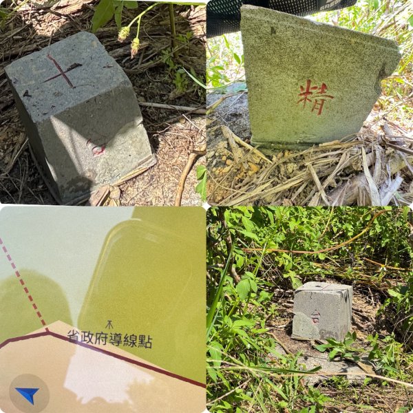 二格公園走小格頭獅頭山 千島湖看鱷魚 雲海國小爬雲海山回二格公園3134079