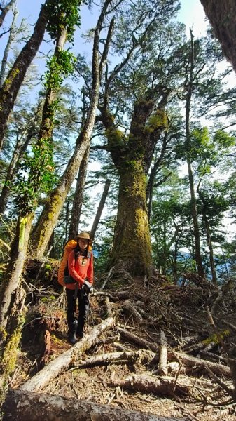 新康五天~戒茂斯進，出瓦拉米2949616