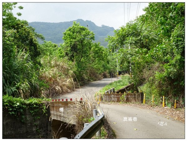 北打鐵坑山(台中、和平)1689419