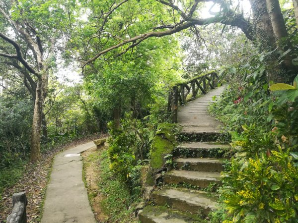 與母親爬山—虎山步道群/探訪秘境黃蟬園895172