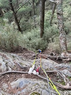 20250524 畢祿山單攻2796496