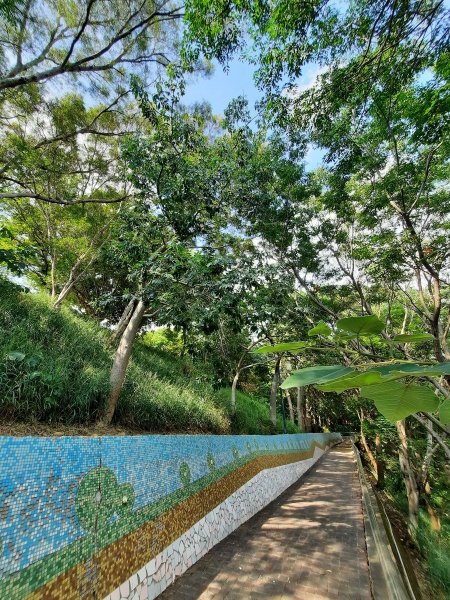 《台中》大肚環保公園登山步道、望高寮賞景1055266