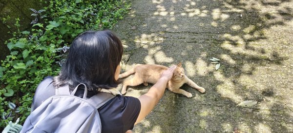 馬胎古道一二期-2026/05/163056533