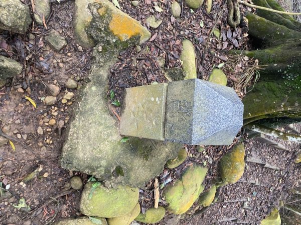 苗栗三義-三員縱走2616462