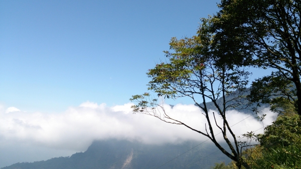 2015-08-01~02  登東埔山步道21626